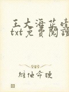 王大海芷晴小说txt免费阅读最新章节