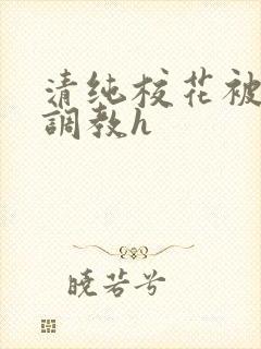 清纯校花被地狱调教h