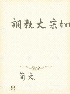 调教大宋txt