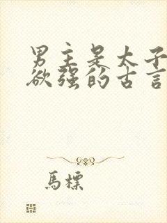 男主是太子占有欲强的古言