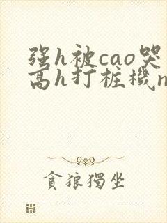 强h被cao哭高h打桩机np