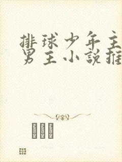 排球少年主受双男主小说推荐