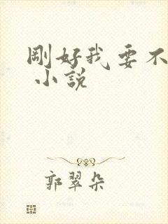 刚好我要不爱你 小说封面