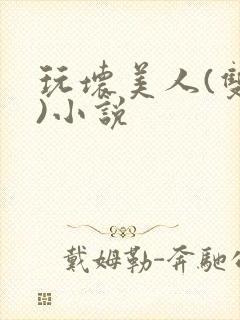 玩坏美人(双性)小说