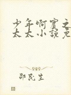 少年啊宾之房东太太小说免费阅读封面