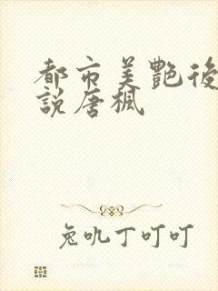 都市美艳后宫小说唐枫