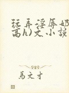 玩弄淫辱奶头(高h)文小说