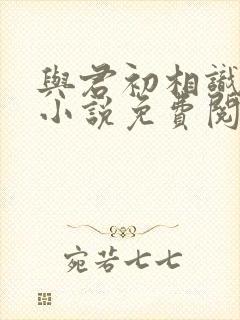 与君初相识原著小说免费阅读