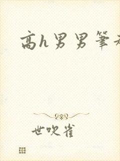 高h男男笔趣阁