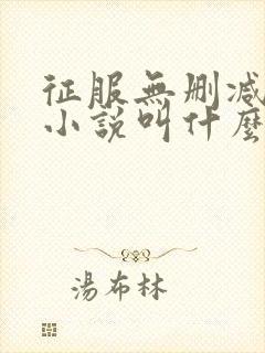 征服无删减原著小说叫什么