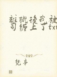 离职后我被前上司缠上了txt免费下载