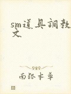 sm道具调教男文