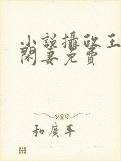 小说摄政王的小闲妻免费