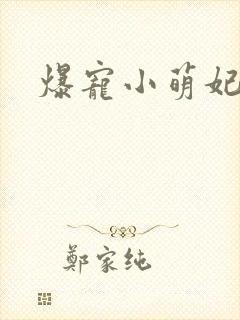 爆宠小萌妃免费