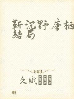 靳沉野唐栖雾大结局