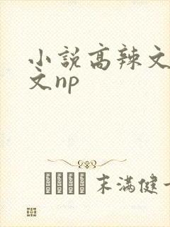 小说高辣文高h文np