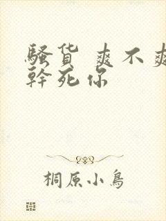 骚货 爽不爽 干死你