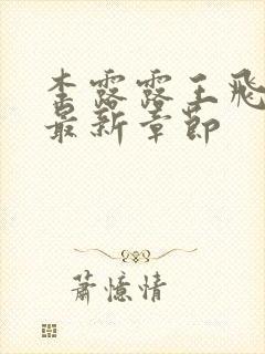 李露露王飞小说最新章节封面