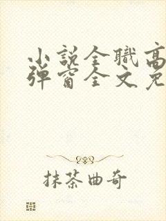 小说全职高手无弹窗全文免费阅读