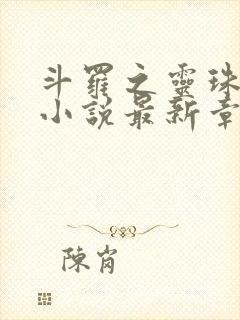 斗罗之灵珠神剑小说最新章节下载