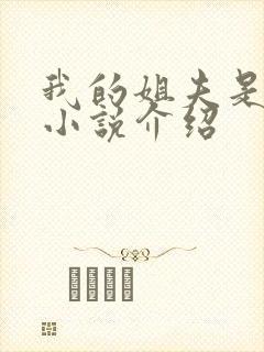 我的姐夫是太子小说介绍