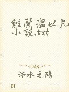 难哄温以凡桑延小说.txt