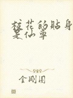 校花的贴身保镖是仙尊封面