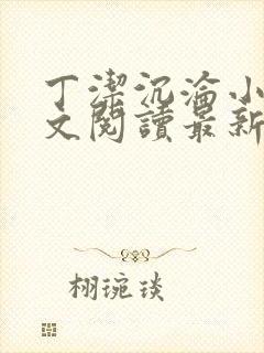 丁洁沉沦小说全文阅读最新章节更新