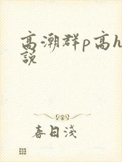 高潮群p高h小说