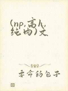 (np,高h,纯肉)文封面