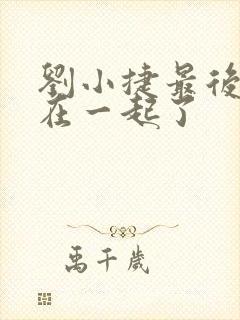 刘小捷最后和谁在一起了