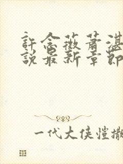 许念薇萧湛明小说最新章节免费阅读封面