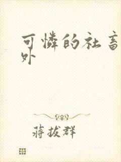 可怜的社畜新番外