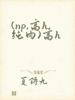 (np,高h,纯肉)高h