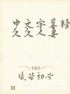 中文字幕精品久久久人妻