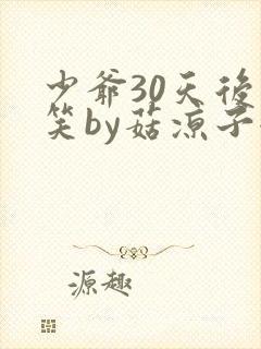 少爷30天后会笑by菇凉子全文免费阅读