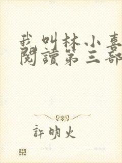 我叫林小喜全文阅读第三部