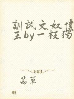 训诫文奴仆双男主by一枝独秀