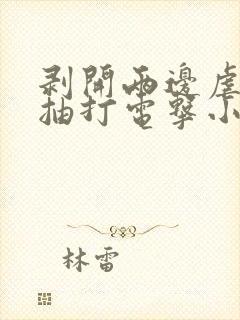 剥开两边虐花蒂抽打电击小说