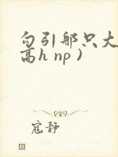 勾引那只大鸟(高h np )