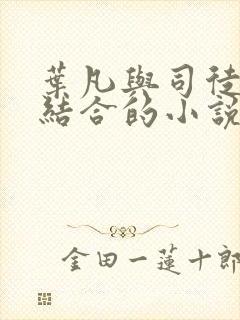 叶凡与司徒嫣然结合的小说