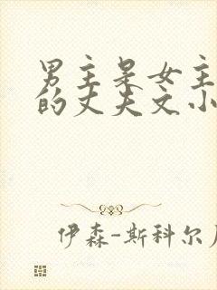 男主是女主姐姐的丈夫文小说