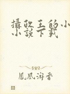 摄政王的小闲妻小说下载封面