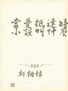 当爱抵达时原著小说叫什么封面