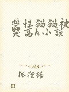 双性猫猫被c到哭高h小说