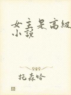 女主是高级婊的小说