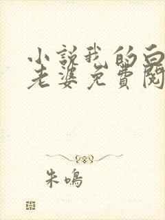 小说我的白富美老婆免费阅读原文