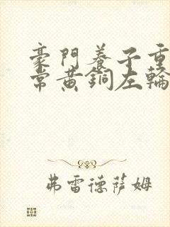 豪门养子重生日常黄铜左轮