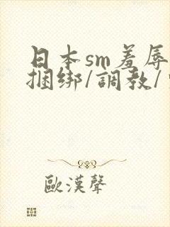 日本sm羞辱/捆绑/调教/束缚电影封面