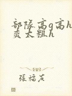 部队高g高h太爽太粗h